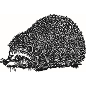 Igel - E-1480