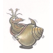 Snail relax - E-5522