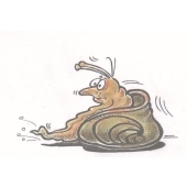 Snail sad - E-5523