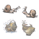 Timbres de motif Escargots