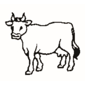 Vache - 1048